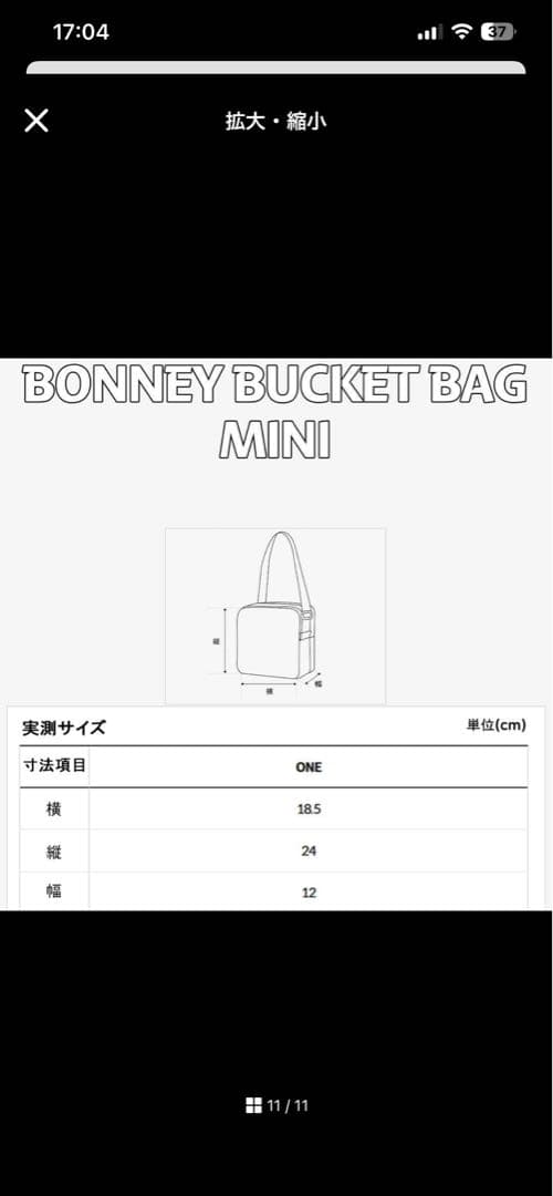 韓国限定　25AW新作　ノースフェイス　ボニーバケットバック　ミニ　ブラック