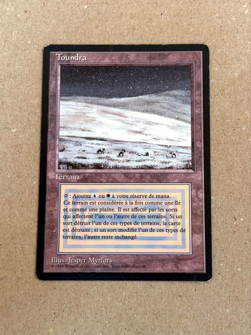 MTG Tundra フランス語 黒枠 FBB デュアルランド Toundra - メルカリ