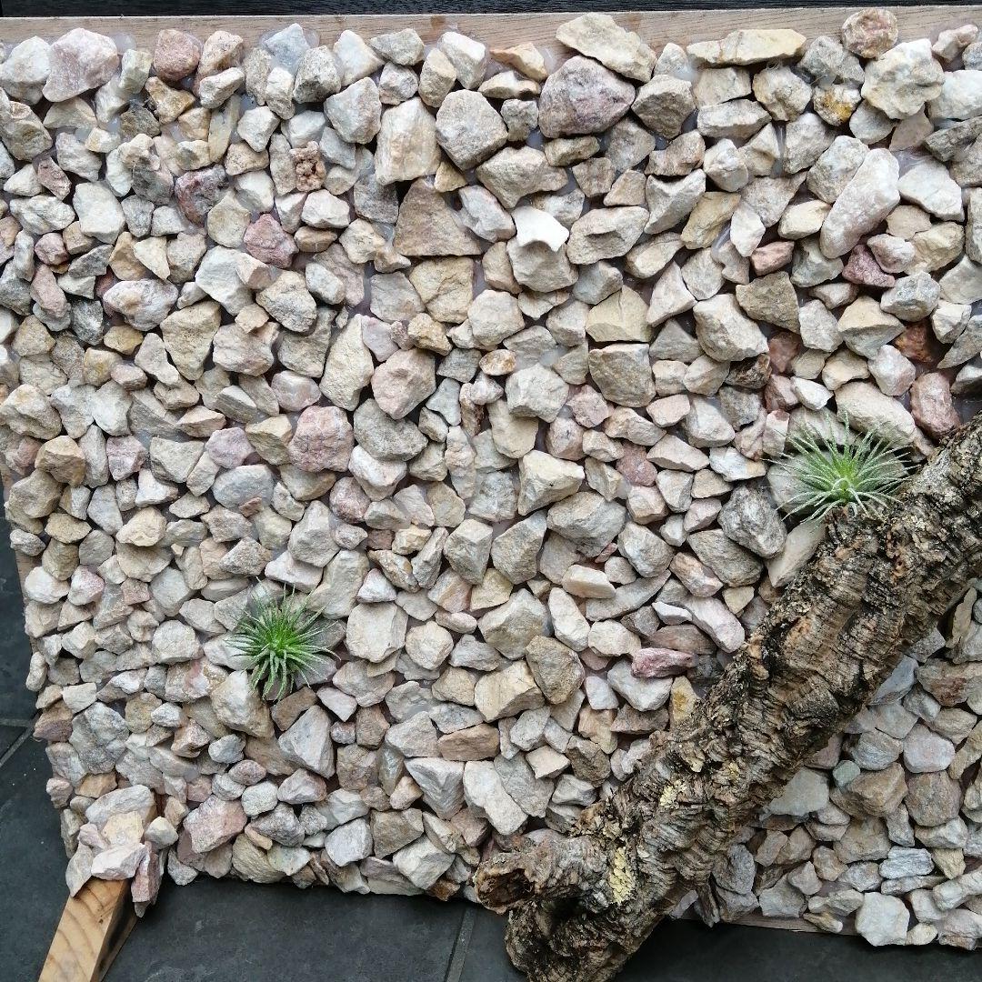 爬虫類ケージ用 バックボード - メルカリ