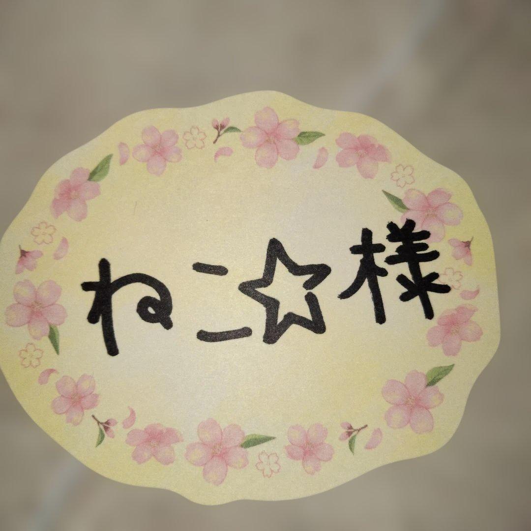 ねこ☆様 リクエスト 2点 まとめ商品 - メルカリ