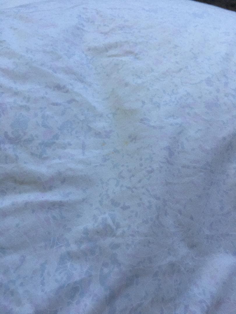 未使用 カーシーエンジョイ 羽毛掛ふとん EA-6665 1.3kg ハンガリー