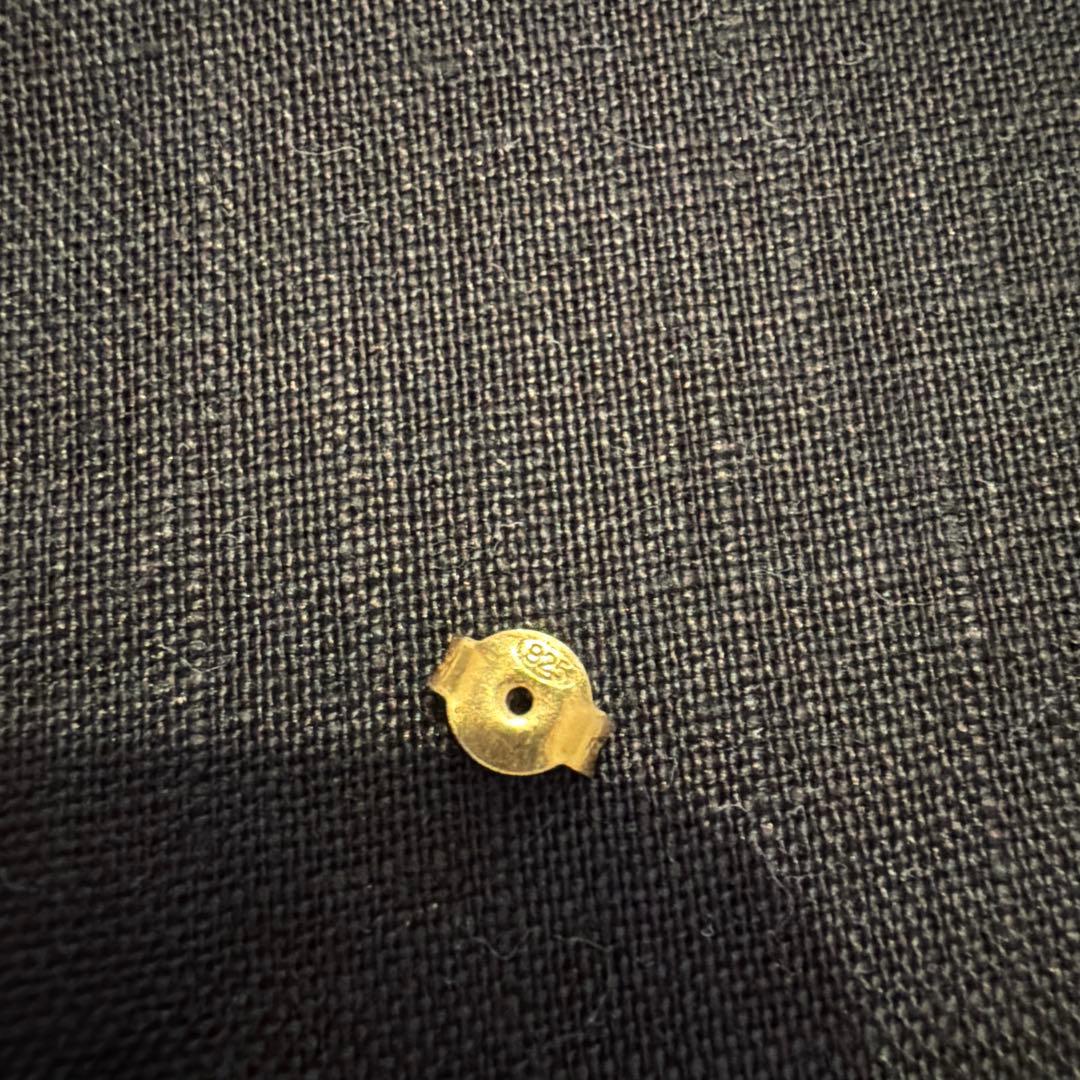 ALIGHIERI / THE FRACTURED DREAMピアス