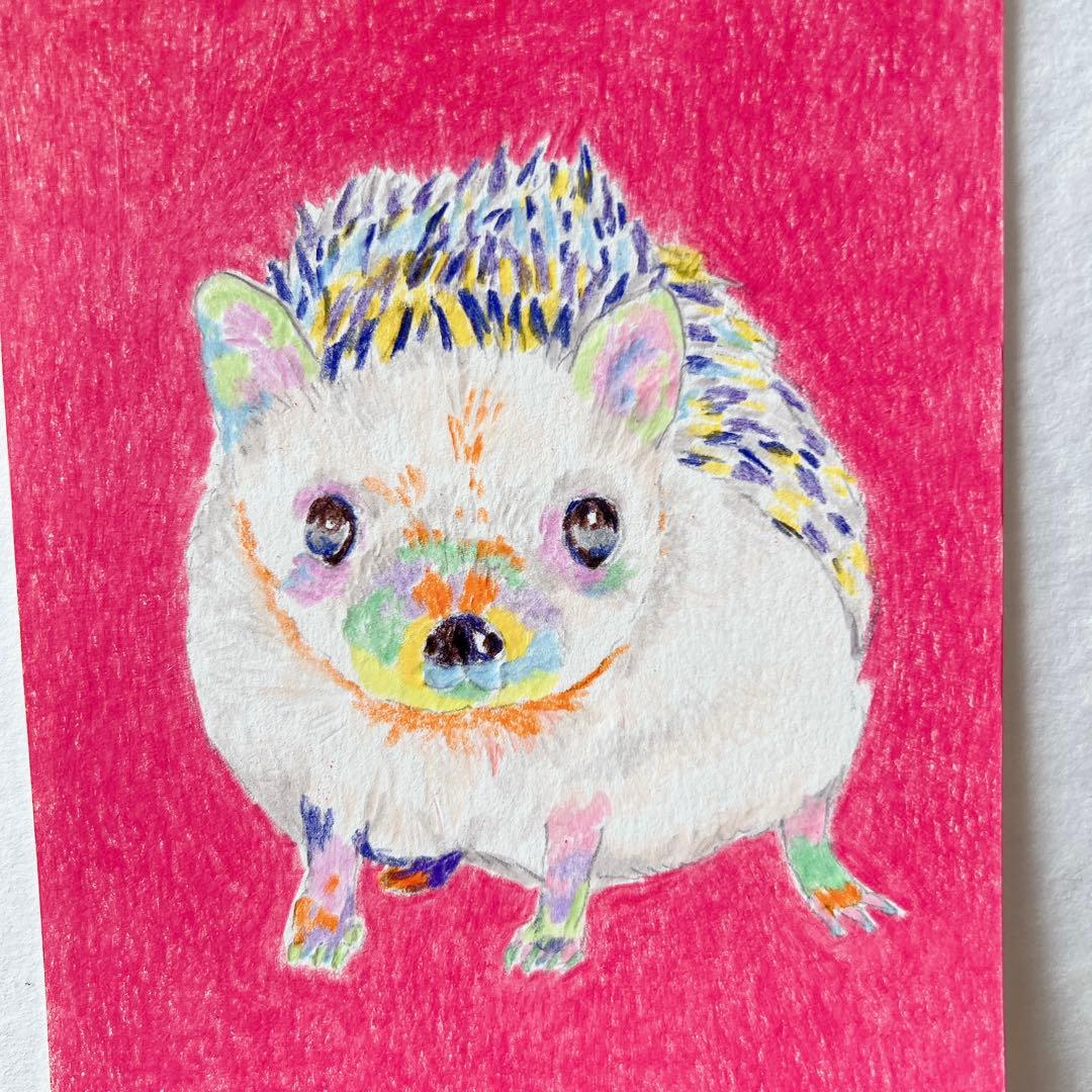 原画】カラフルなハリネズミのイラスト - メルカリ