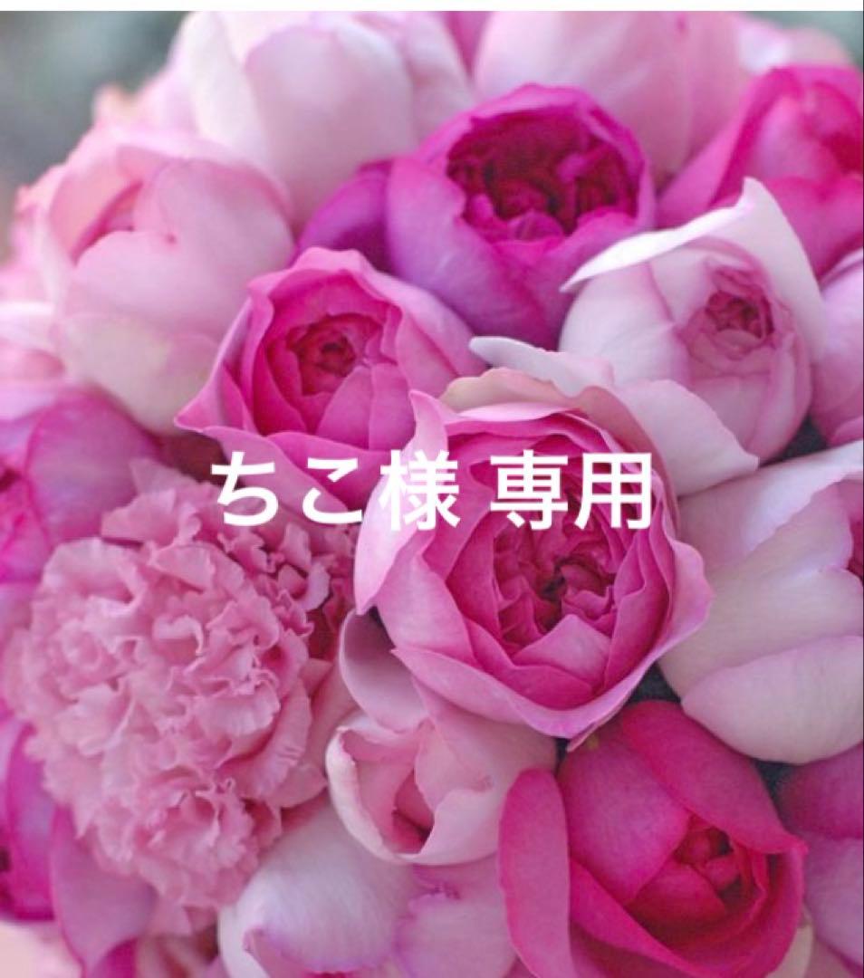 専用 サルート D75ジャズ 専用 サルート D75ジャズ