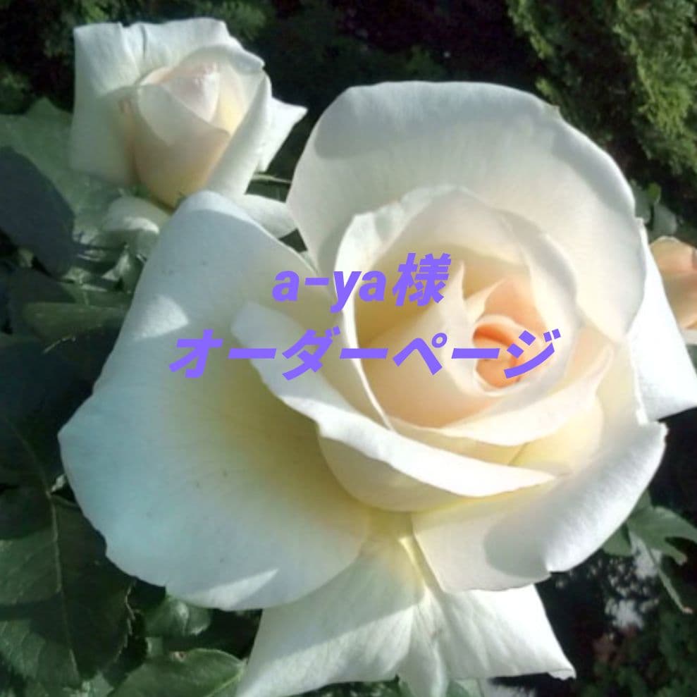 a−yaページ 3105884025_016.jpg