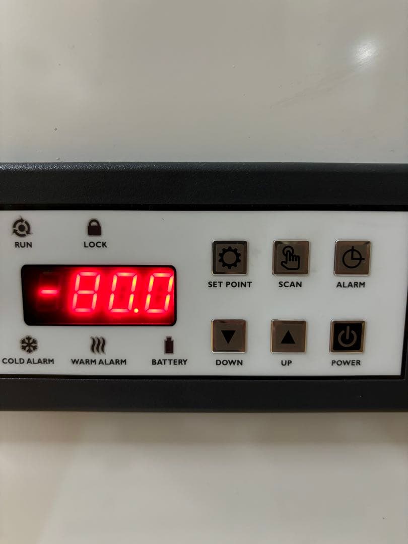 清潔コオロギ2.2kg 冷凍コオロギ MLサイズ クロコオロギ約2kg - メルカリ