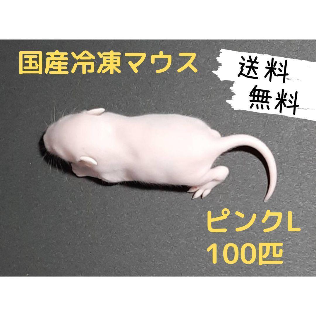 国産冷凍マウス ピンクL 100匹(送料無料一部地域発送不可) - メルカリ