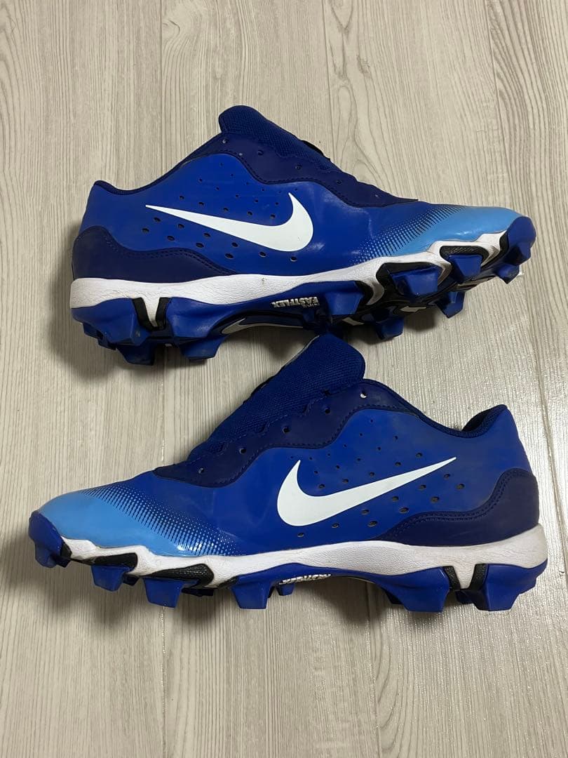 NIKE DIAMOND FASTFLEX 28.5cm 美品