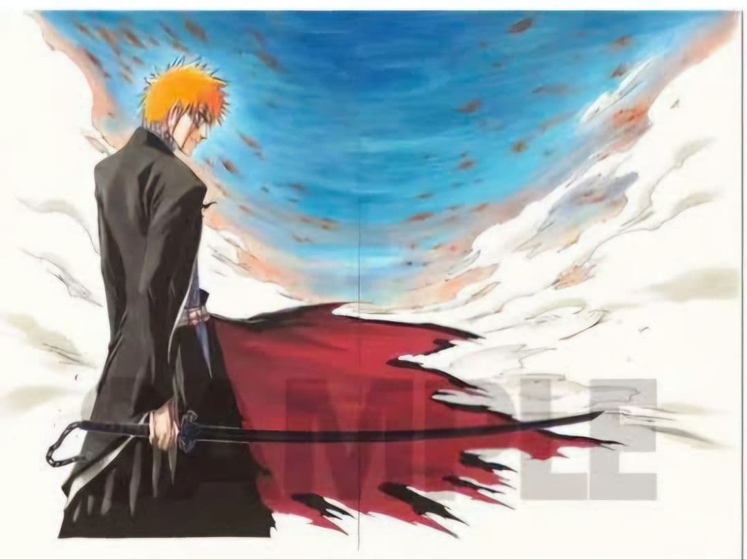 BLEACH 額装原画 Amazon.co.jp: BLEACH 原画展 額装高精細複製原画 NO.4 BA4 井上織姫