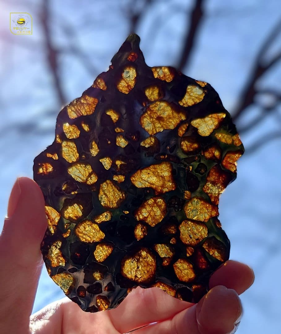 トッポー★65.59g イミラック パラサイト 隕石 Imilac⭐⭐⭐