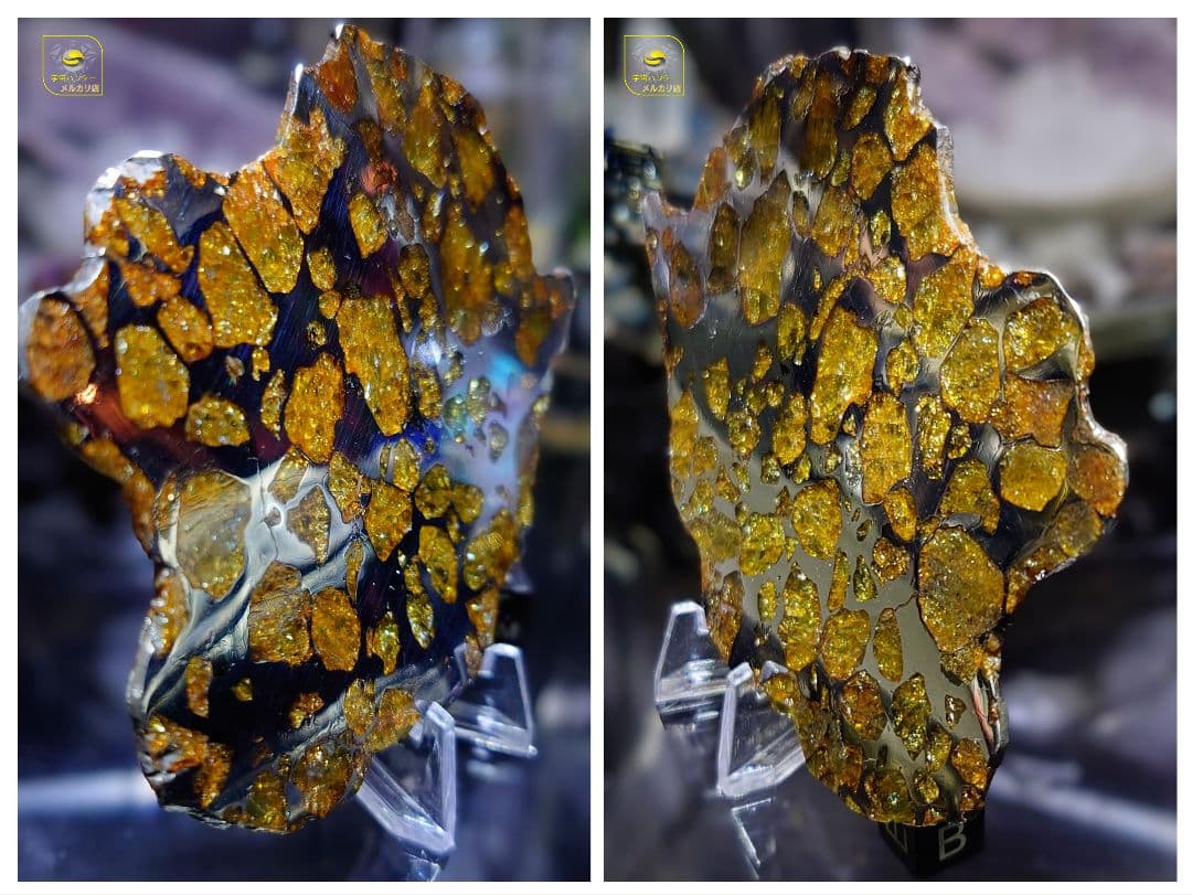 トッポー★65.59g イミラック パラサイト 隕石 Imilac⭐⭐⭐