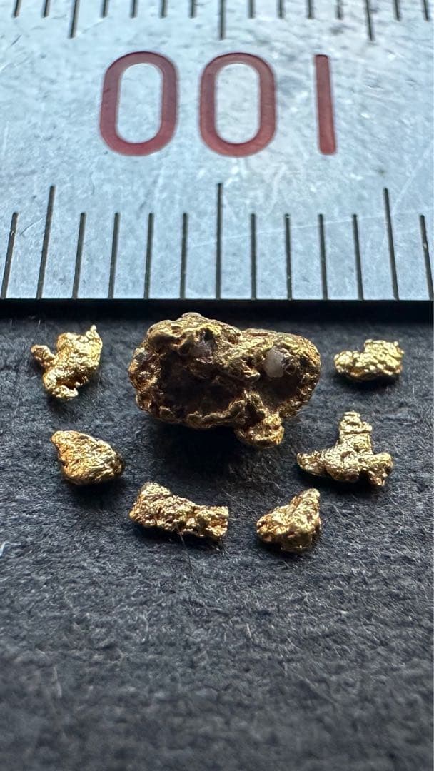 砂金 中粒 観賞・資料用 - メルカリ