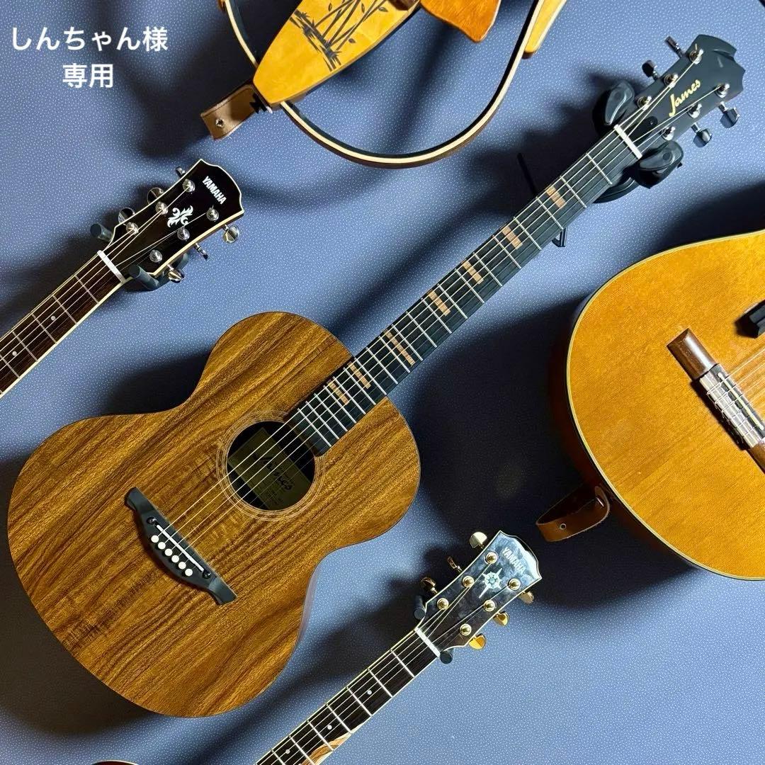 【美品】James トランスギターJ-100A MHT ギグケース付属 James J-100A MHT アコースティックギター ギグケース付属 マホガニー