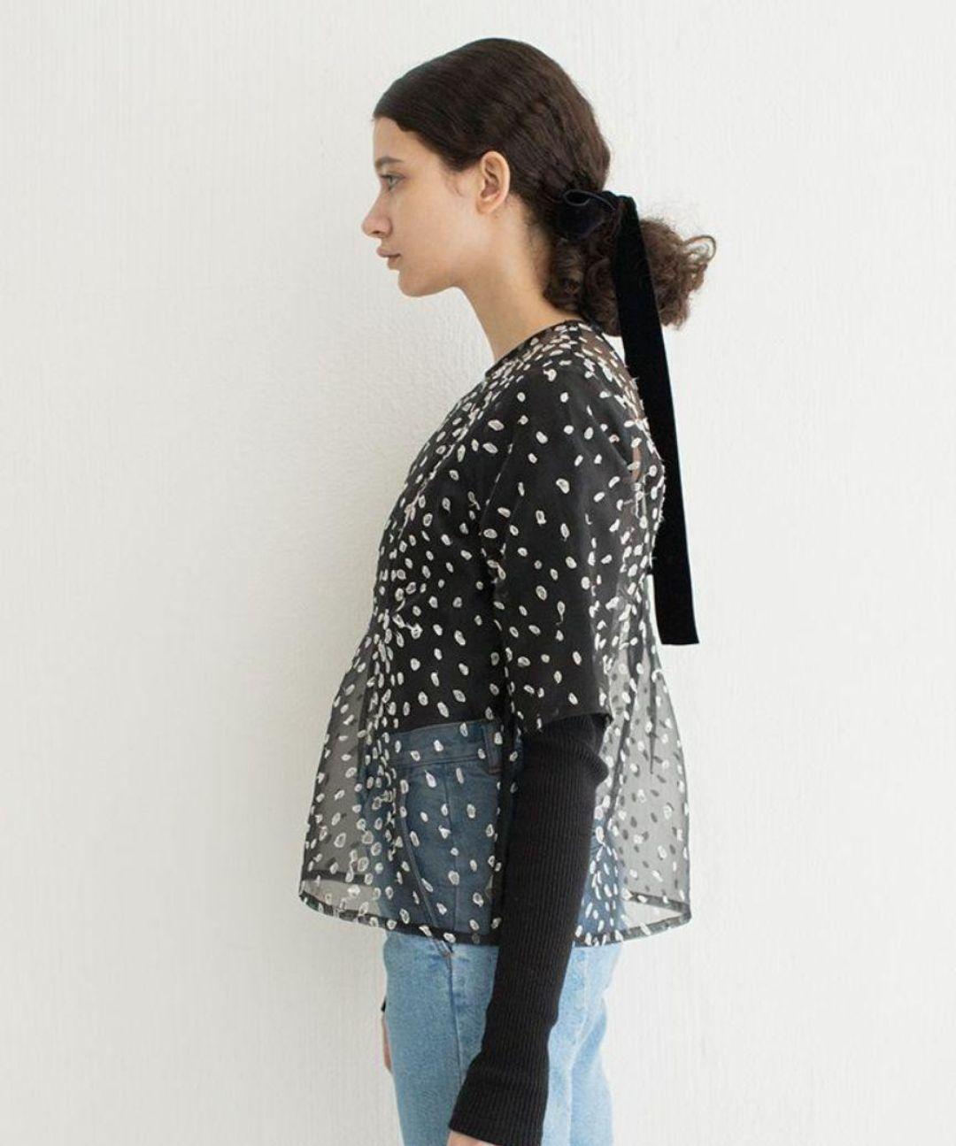 新品タグ付き LEINWANDE ラインヴァンド　オーガンジーブラウス