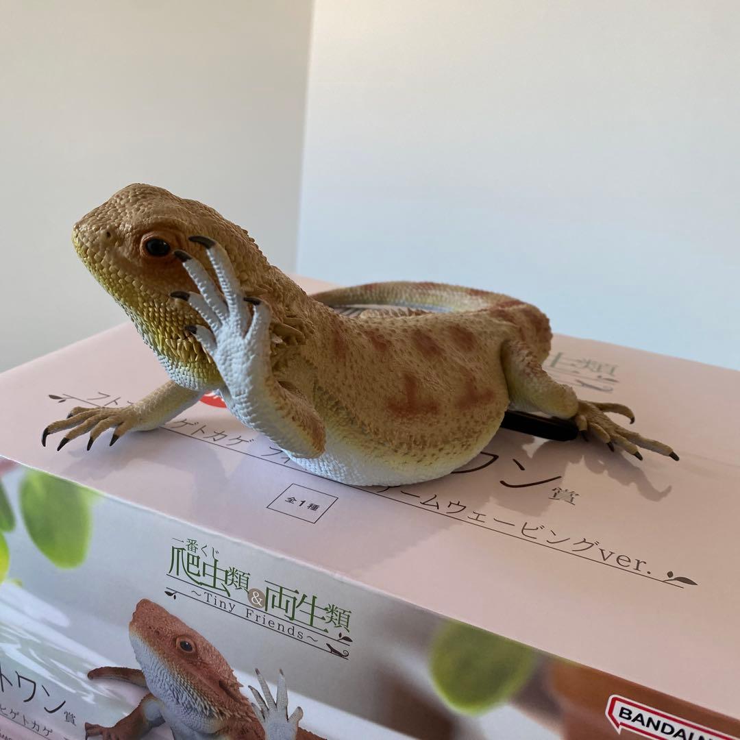 一番くじ 爬虫類&両生類 フトアゴヒゲトカゲ フィギュア ラストワン賞