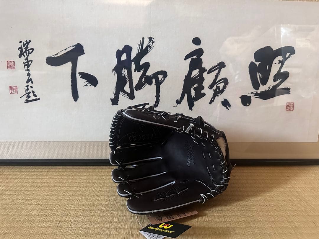 《早いもの勝ち！３日間限定値下げ中》ワールドペガサス 硬式 左投手用