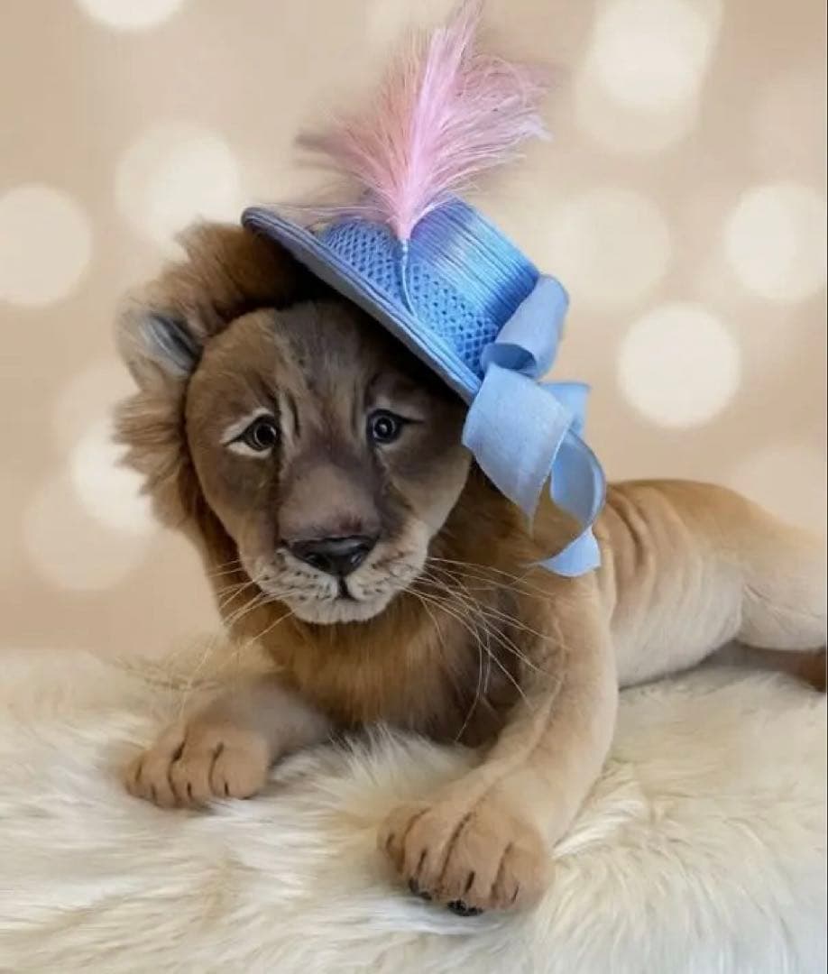 海外作家様作　アートドール　帽子を被ったライオン 海外作家様作 アートドール 帽子を被ったライオン - メルカリ