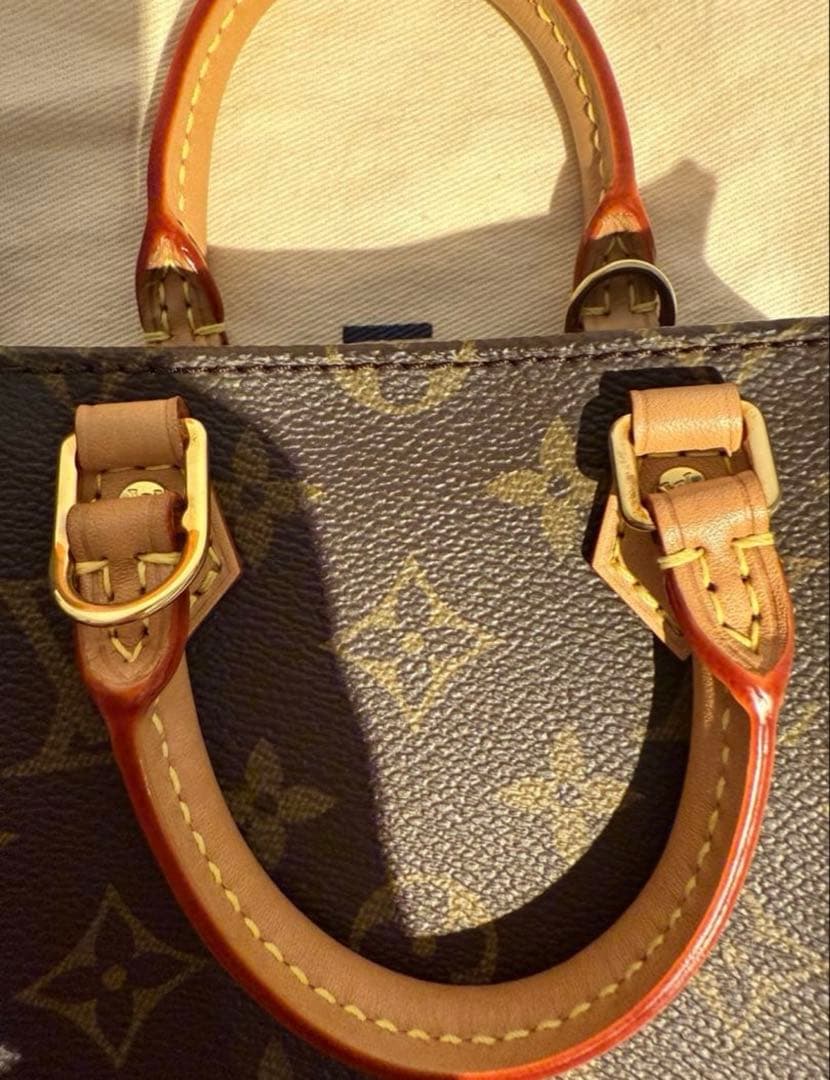 ⭐️ルイヴィトン プティットサックプラ　美品　正規品⭐️