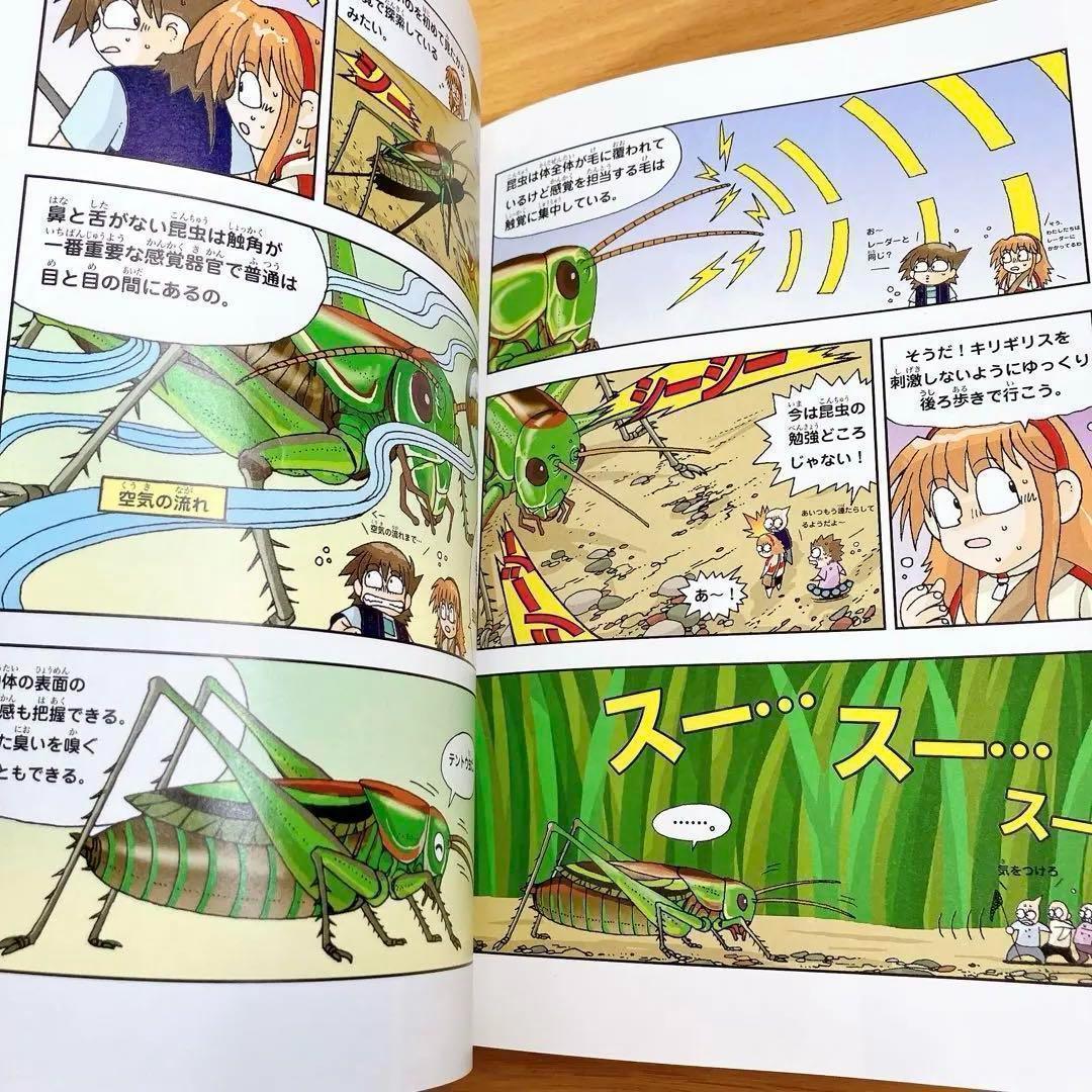 サバイバルシリーズ　25冊セット　かがくる