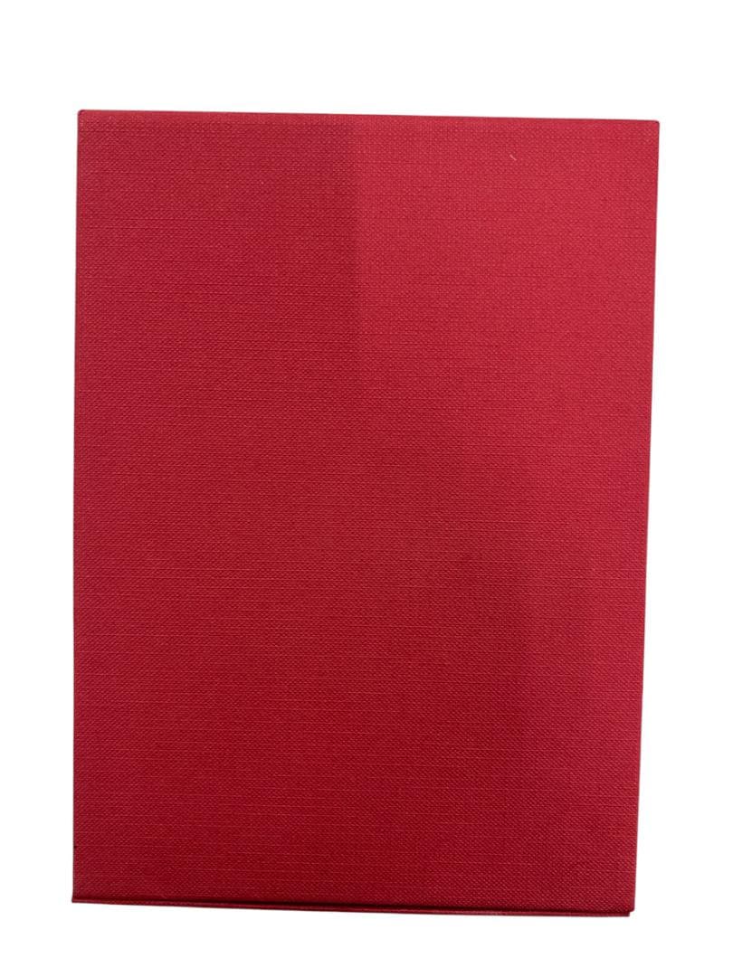 【美品】ボナベンチュラ iPhone 16ケース ハンドル付き エトープ