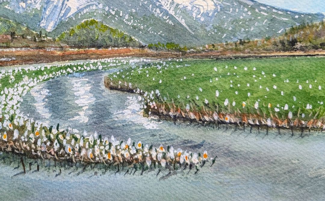 タモ 材フレーム 額縁入り《 尾瀬ヶ原より至仏山を望む 》