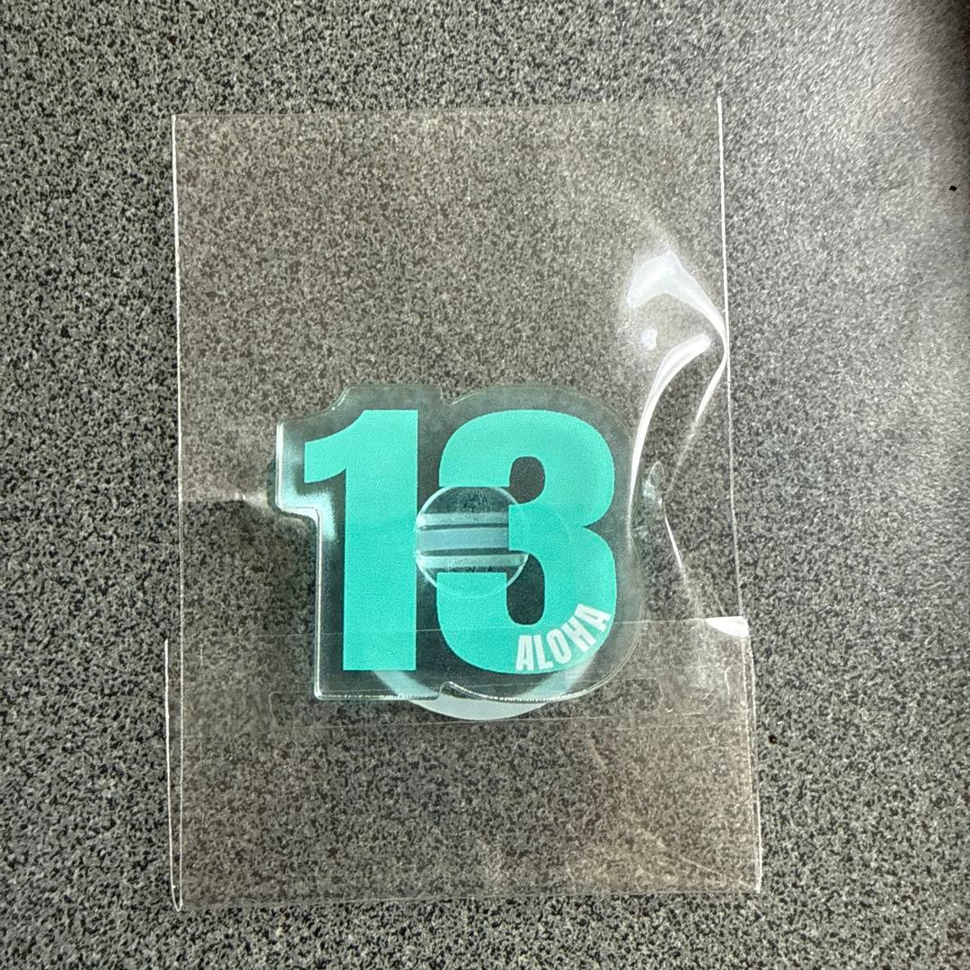 超特急 ペンライトアクセサリー アロハ - メルカリ