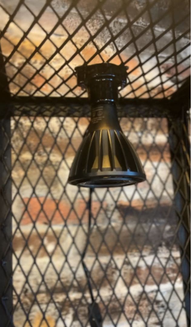 300×300mm インダストリアルな植物棚 アイアンシェル