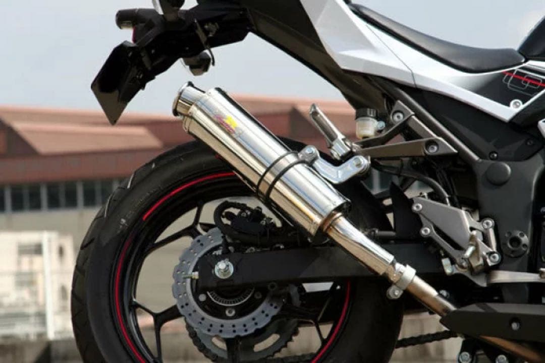 Realize カワサキ ニンジャ250 Aria カール(TypeC)マフラー - メルカリ