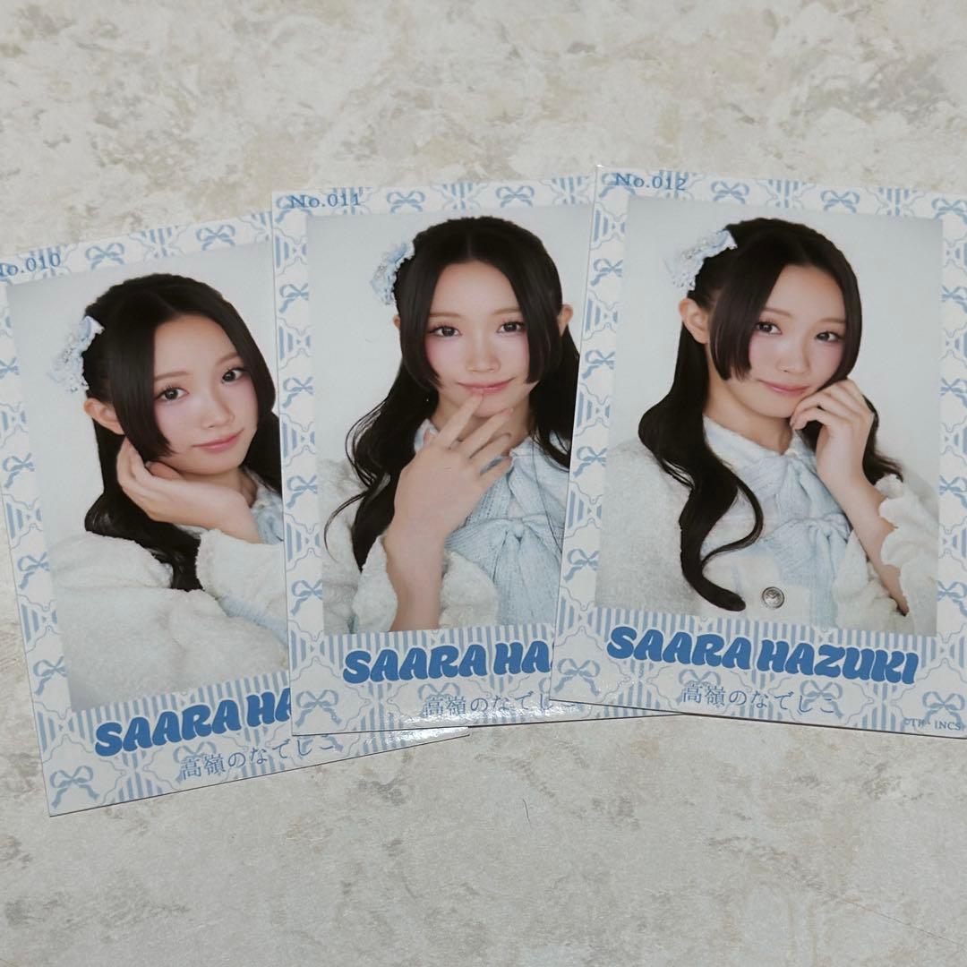 高嶺のなでしこ 葉月紗蘭 ツアー衣装 ミニフォト 2026 - メルカリ