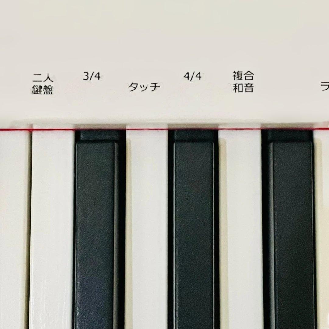 ニコマク NikoMaku 電子ピアノ SWAN-S　《一式完備＋オマケ付き》