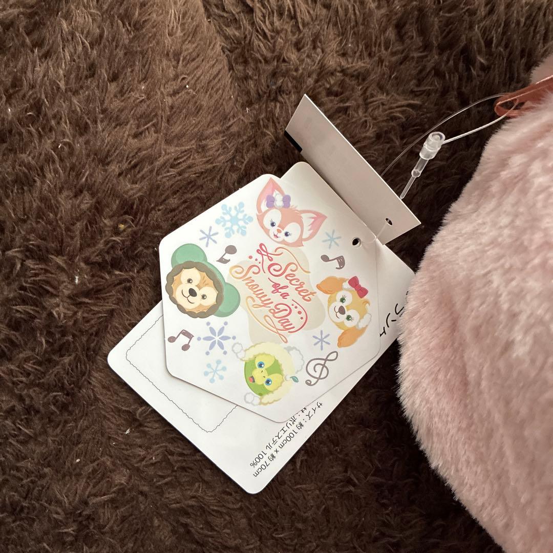 TDS シークレットオブスノーウィーデイ リーナベル ブランケット