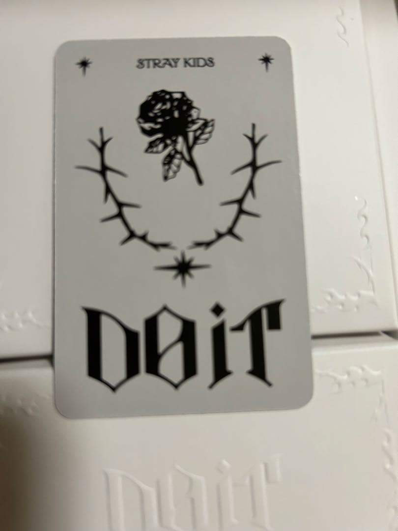 stray kids doit speaker ランダムトレカ バンチャン - メルカリ