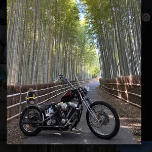 オーシャンビートルLAC アンティークス別注マットブラック Wストラップ