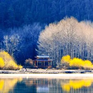 頑丈 G☆SOLID ロフトベッド はしご付き木製 ※静岡市（富士川近く）お