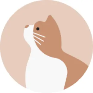 激安‼️未開封‼️知多ウイスキー 350ml 10本セット - メルカリ