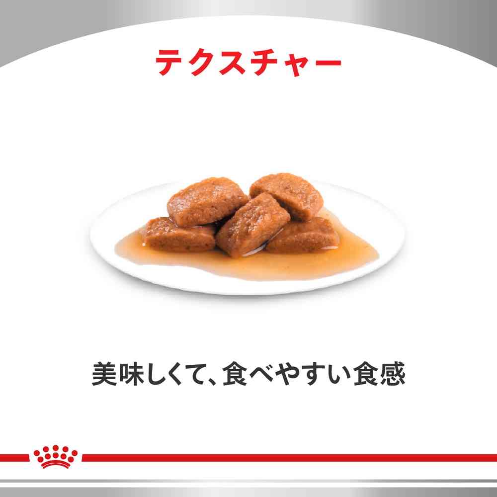 猫用 早期腎臓サポート パウチ 85gx12x2