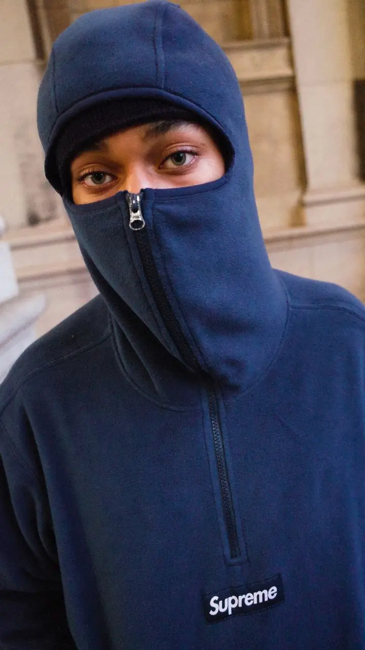 Polartec® Facemask Half Zip Hooded Sweatshirt | Supreme 23fw