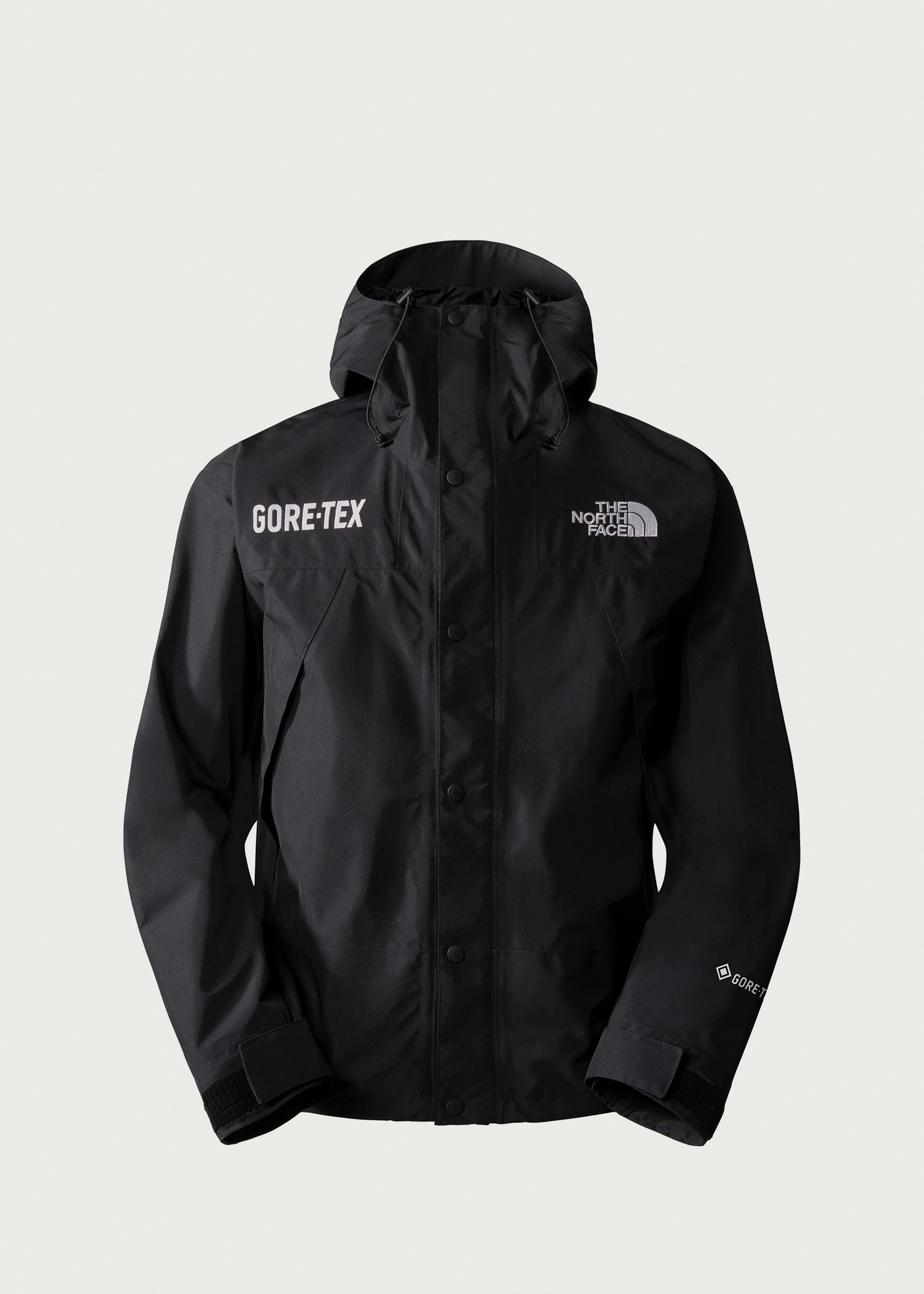 The North Face Mountain GORE-TEX Jacket