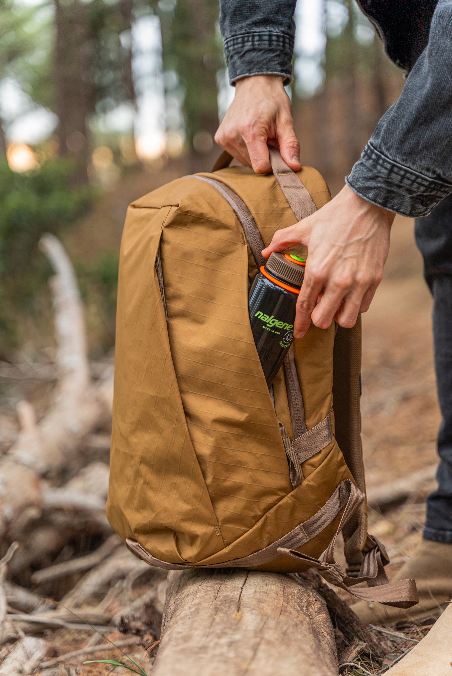 Coyote Brown – Able Carry (JP)