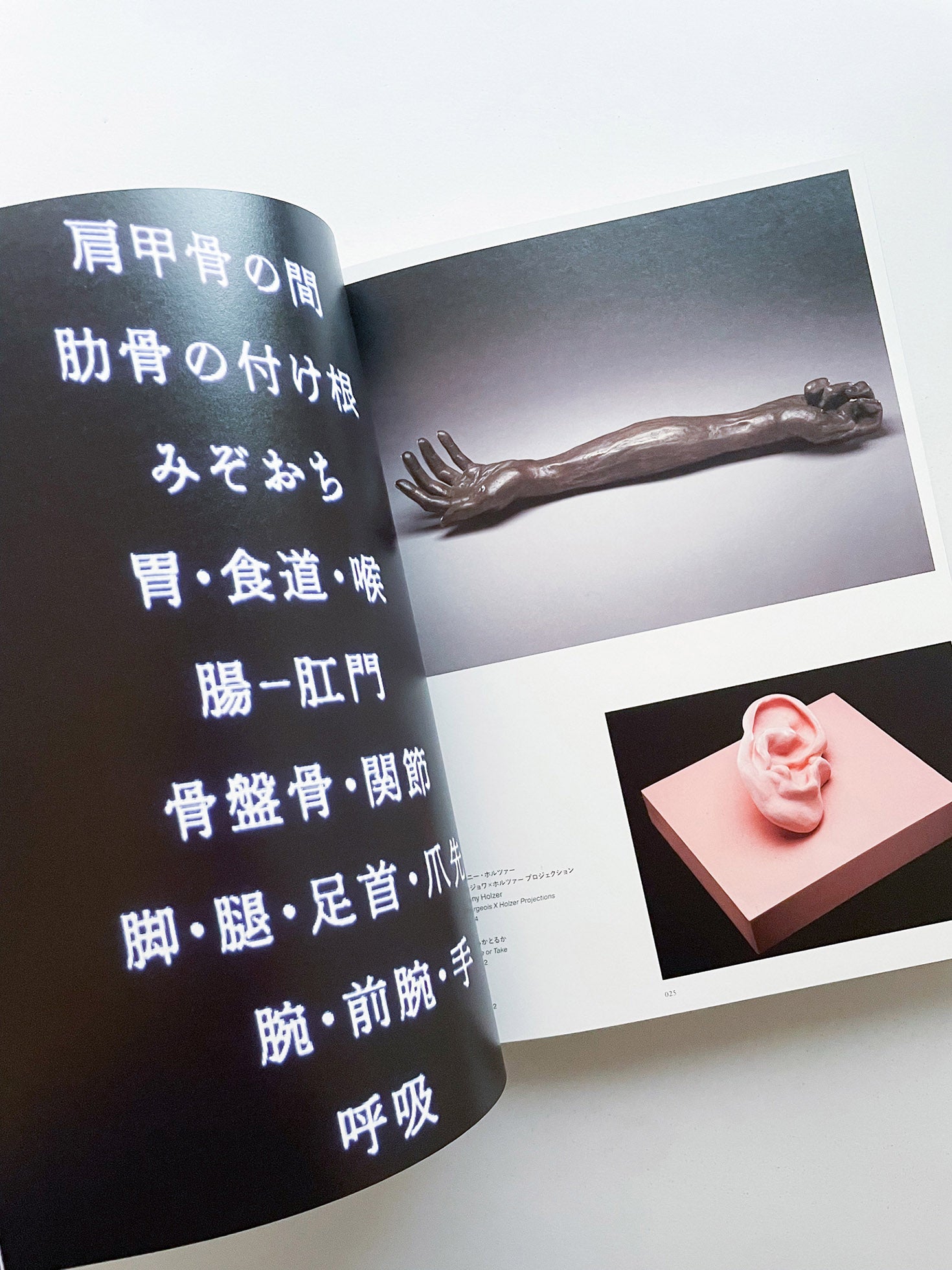 ルイーズ・ブルジョワ展：地獄から帰ってきたところ 言っとくけど