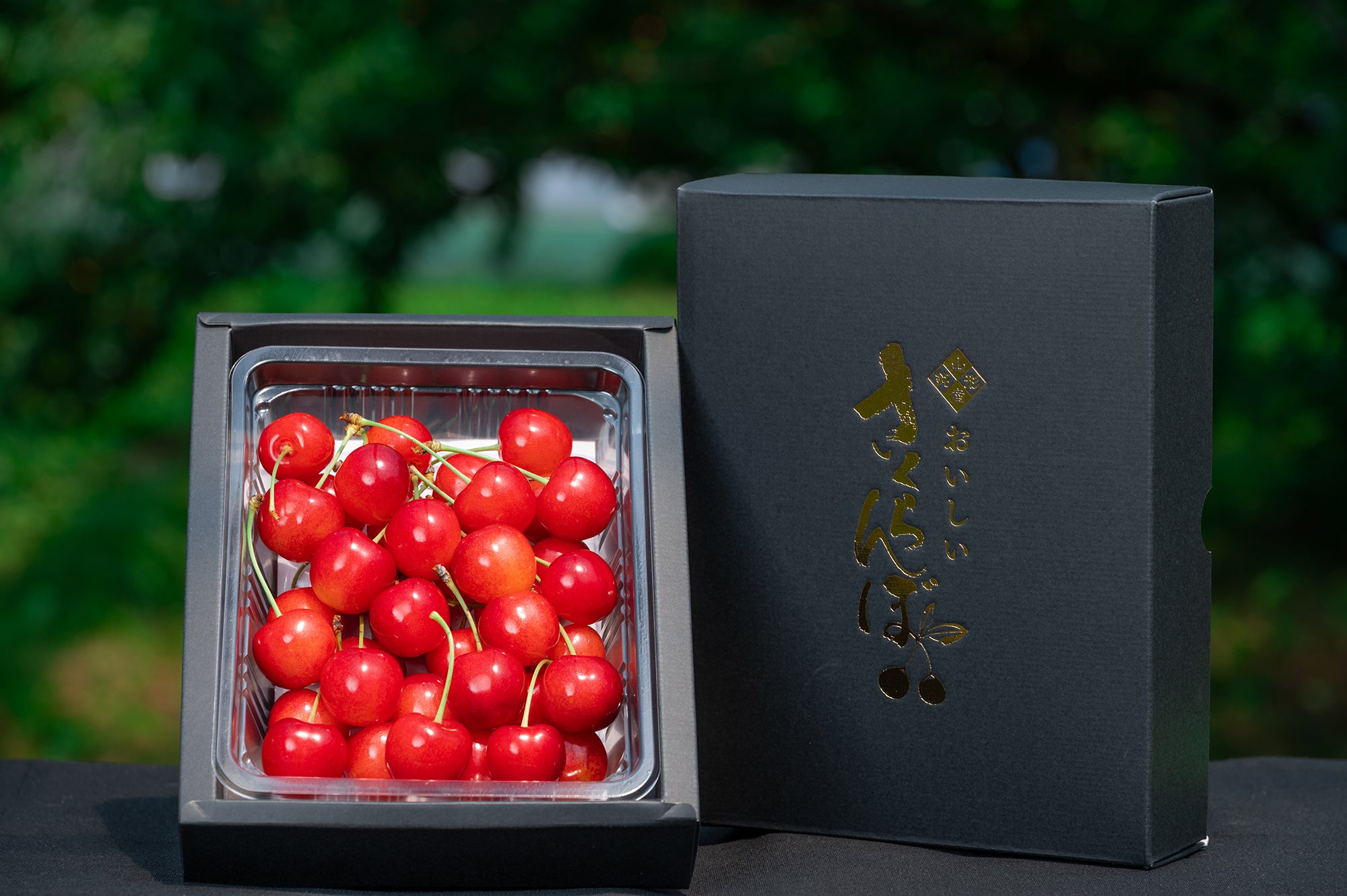 S03_01.jpg?v=1742265300&width=1920