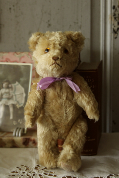 アンティークベア イギリス グラスアイ 20180718 【Antiques Truffle