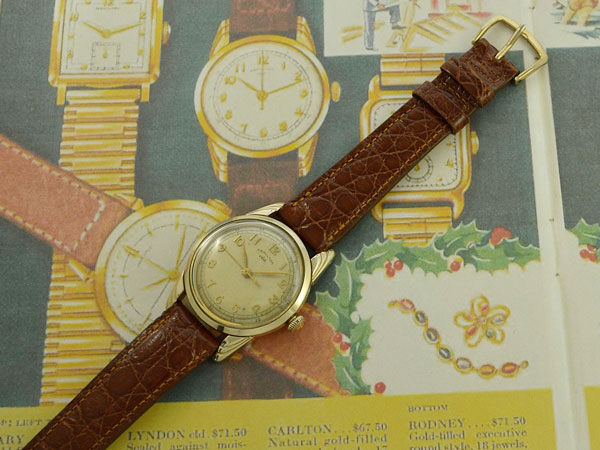 ハミルトン HAMILTON CLD LYNDON シールド リンドン ステップラグ