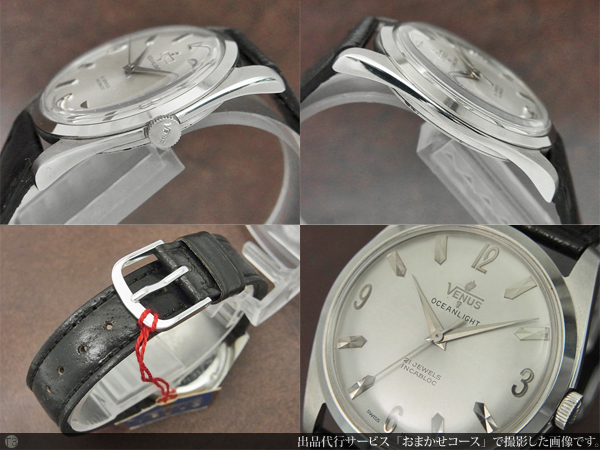 ヴィーナス VENUS オーシャンライト フォンテンメロン社の高級