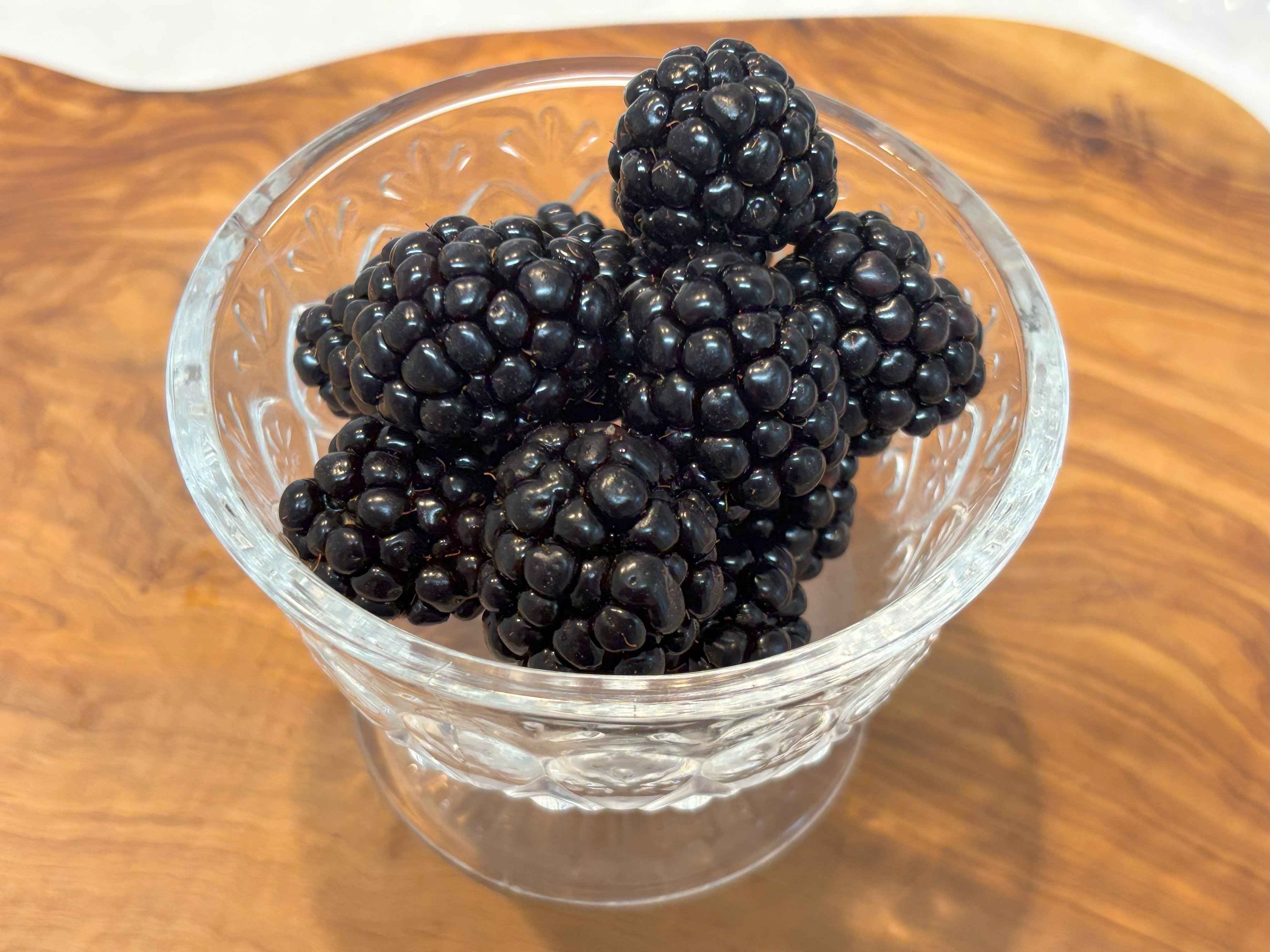 🌿 10年育てて見えたブラックベリー栽培の奥深さ──品種選びが満足度