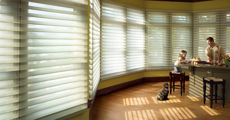 ハンター ダグラス シルエットシェード デュエットシェード 製品情報