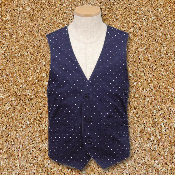 烈車戦隊トッキュウジャー トッキュウ2号 トカッチ リバーシブルベスト