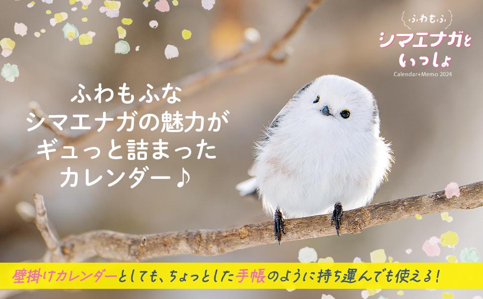 いっぱい書けるカレンダー ふわもふシマエナガといっしょCalendar+Memo