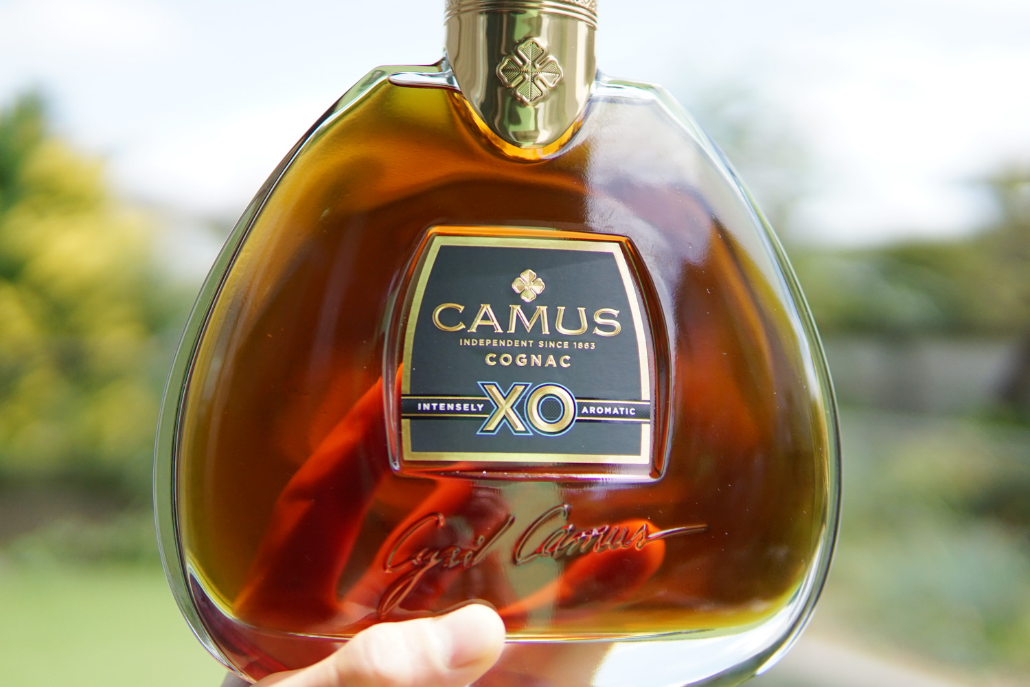 未開栓 未開栓 カミュ CAMUS ブランデー HORS D'AGE 700ml 40% 古酒