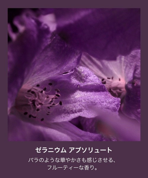 ウード・ヴォヤージュ オード パルファム スプレィ 30ml（香水）｜TOM